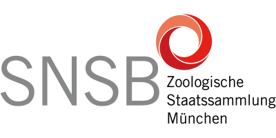 Zoologische Staatssammlung München