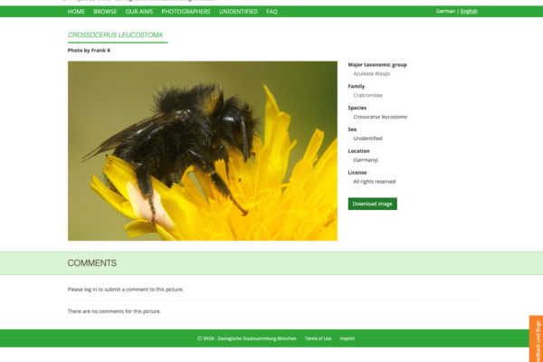 Online Bilddatenbank