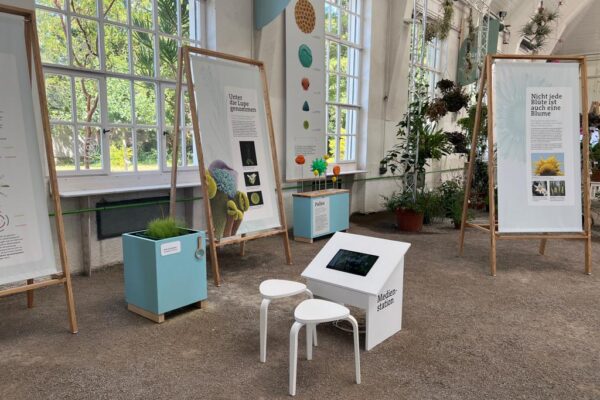 FlowerPower-Spielekonsole