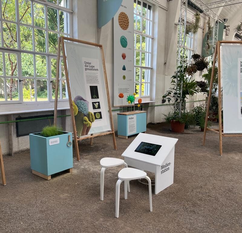 Vorschaubild der Leistung